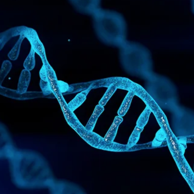 Strand of DNA